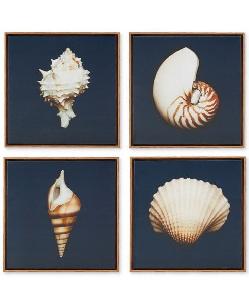 Ocean Seashells 4-Pc. Framed Canvas Print Set