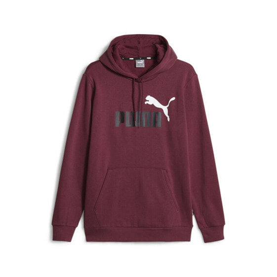 PUMA ESS+ 2 Col Big Logo FL hoodie