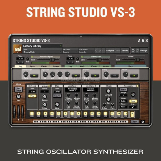 Applied Acoustic Systems AAS String Studio VS-3