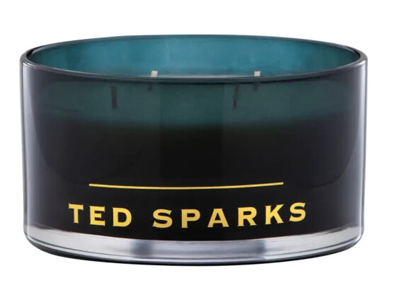 Ted Sparks - Duftkerze Magnum - Bamboo &