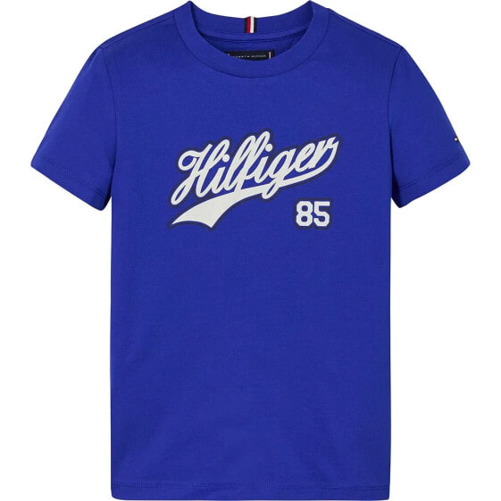 TOMMY HILFIGER KB0KB08679 short sleeve T-shirt