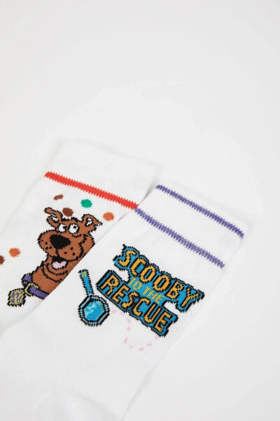 Носки defacto Scooby Doo Cotton 2-Pack