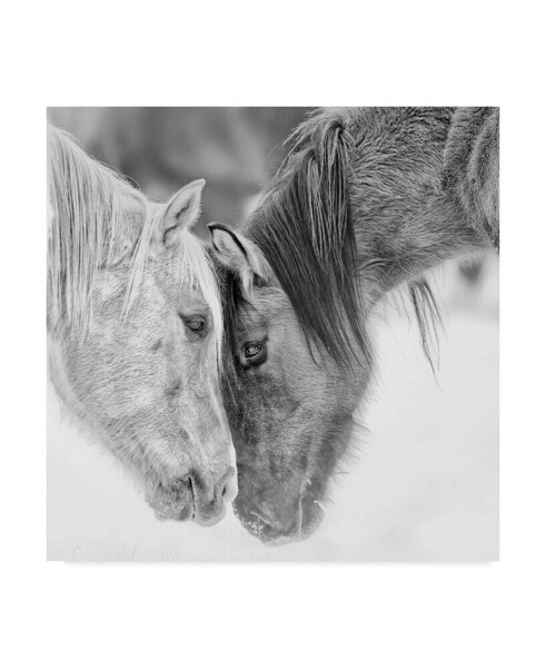 PH Burchett Black and White Horses VII Canvas Art - 15" x 20"