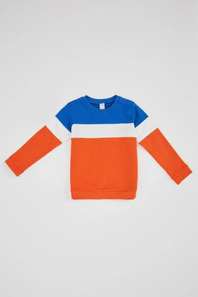 Erkek Bebek Renk Bloklu Sweatshirt