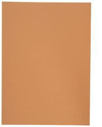 ELBA 100091654 - A4 - Cardboard - Orange - 100 sheets - 250 g/m² - 230 mm