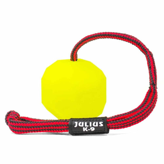 Мяч для собак JULIUS K-9 Ball With Fluor Rope