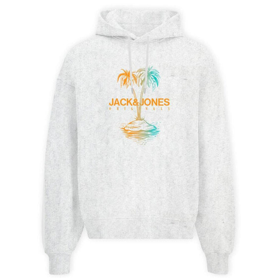 JACK & JONES Lafayette hoodie