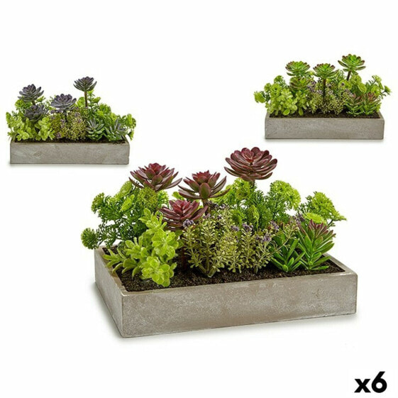 Искусственное растение сочное Пластик Цемент 16,5 x 20 x 28,5 см (6 штук) Decorative Plant Succulent Plastic Cement 16,5 x 20 x 28,5 см (6 штук) Ibergarden