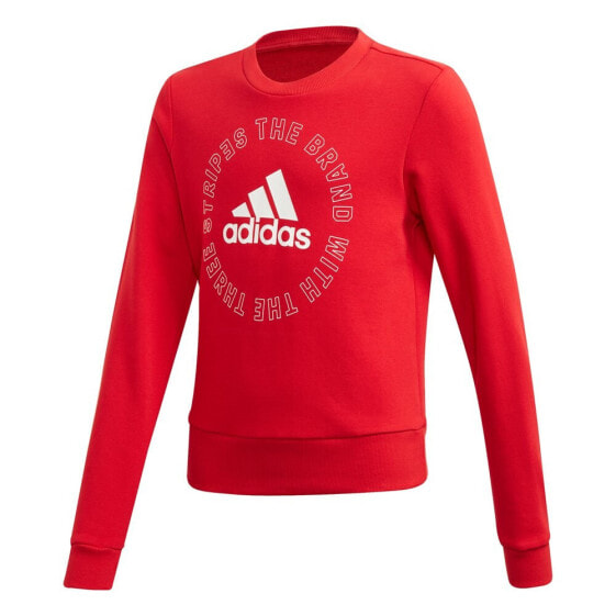 ADIDAS Bold Crew-Track Suit