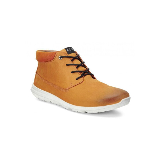 Мужские ботинки высокие демисезонные коричневые кожаные Ecco Sneaker Calgary Mid
