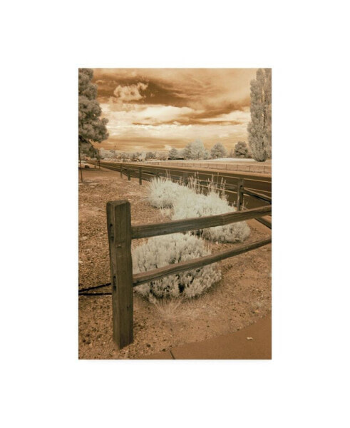 Monte Nagler Fence and Road Albuquerque New Mexico Canvas Art - 20" x 25"