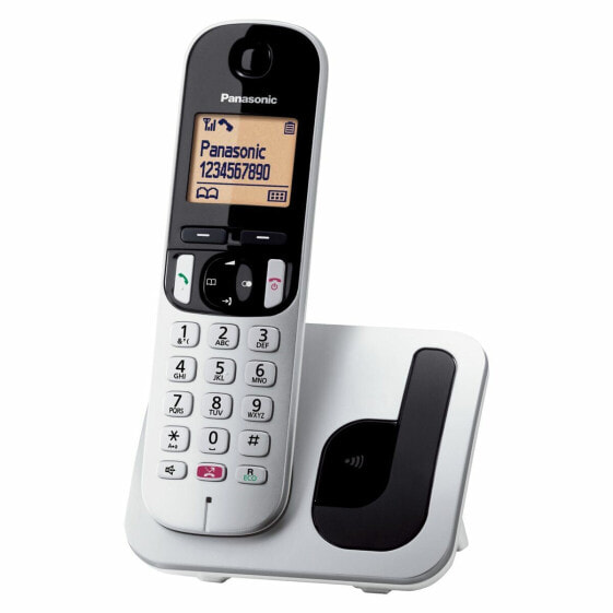 Беспроводный телефон Panasonic KX-TGC250 Серый Серебристый