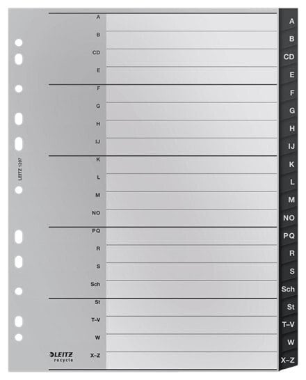 Esselte Leitz 12070000 - Blank tab index - Polypropylene (PP) - Black - White - Portrait - A4 - 160 g/m²