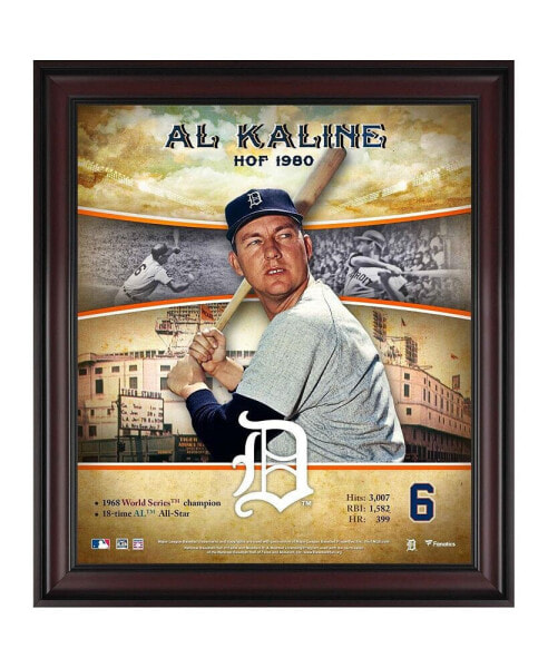Al Kaline Detroit Tigers Framed 15" x 17" Hall of Fame Career Profile