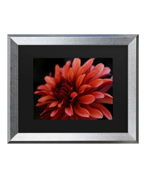 Kurt Shaffer Red Dhalia Matted Framed Art - 27" x 33"