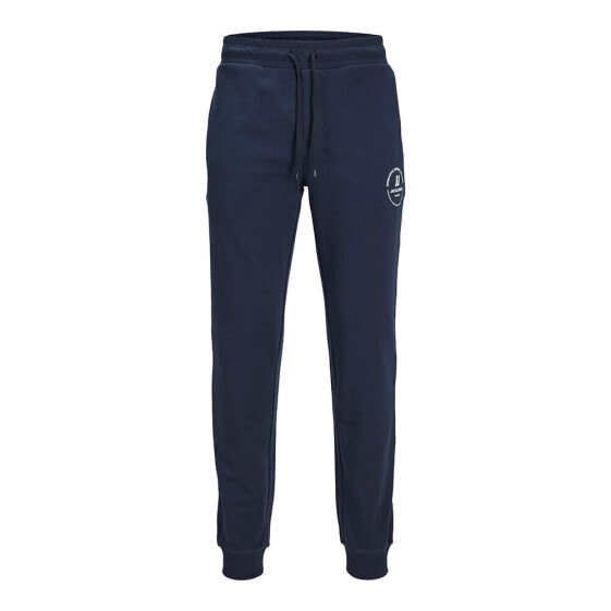 JACK & JONES Gordon Swift sweat pants