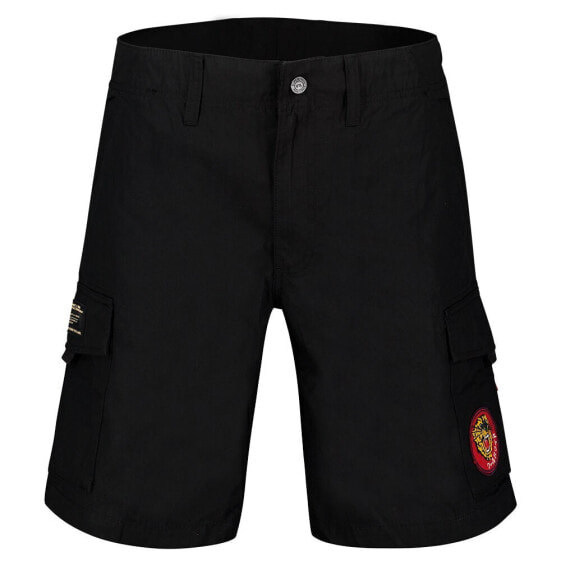 SUPERDRY Patched Alpha Cargo shorts