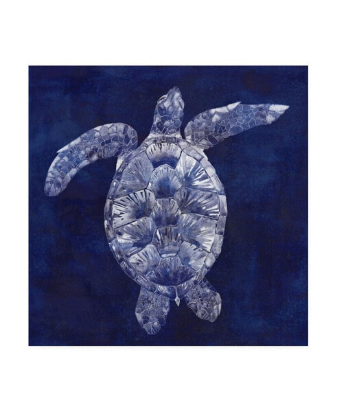 Grace Popp Sea Turtle Shadow II Canvas Art - 20" x 25"
