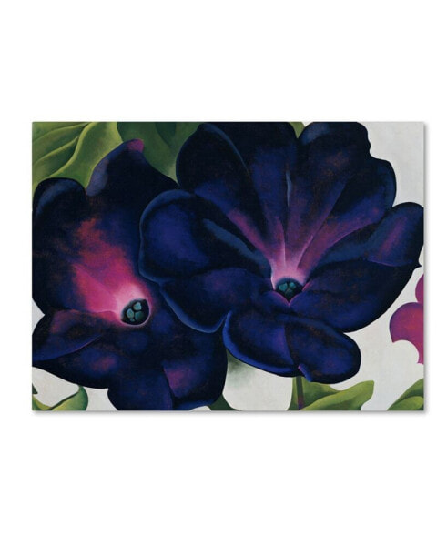 Georgia O'Keefe 'Black and Purple Petunias' Canvas Art - 19" x 14" x 2"