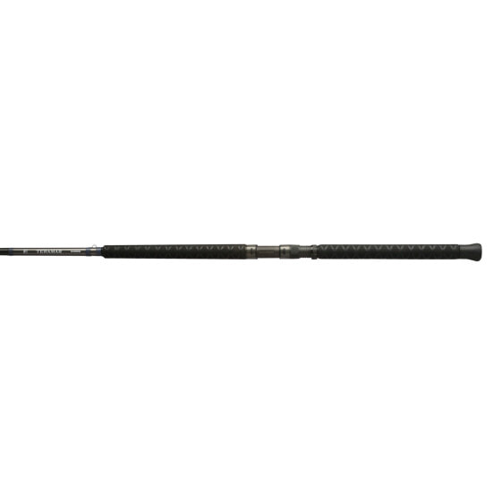 Shimano TERAMAR WC SPINNING C, Saltwater, Inshore, Spinning, 8'0", Medium Hea...