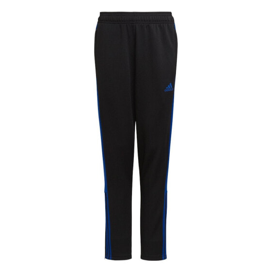 ADIDAS Tiro Essential Pants