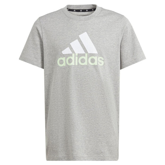 ADIDAS Essentials 2 Big Logo short sleeve T-shirt