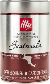 Kawa ziarnista illy Arabica Selection - Guatemala 250 g