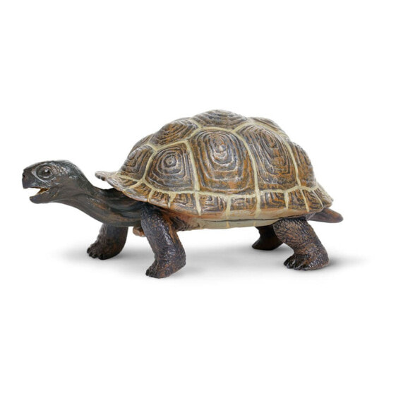 Фигура маленькой черепахи Safari Ltd. Животное - детёныш.