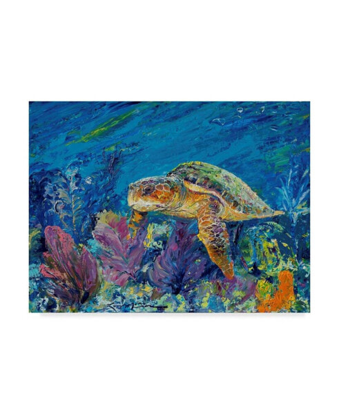 Lucy P. Mctier 'Loggerhead Turtle' Canvas Art - 24" x 18"