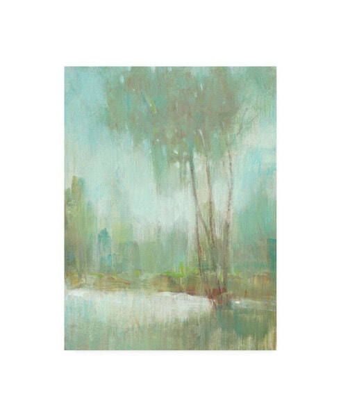 Tim OToole Mist in the Glen II Canvas Art - 27" x 33.5"