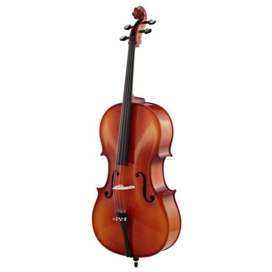 Roth & Junius Europe 4/4 Student Cello Set