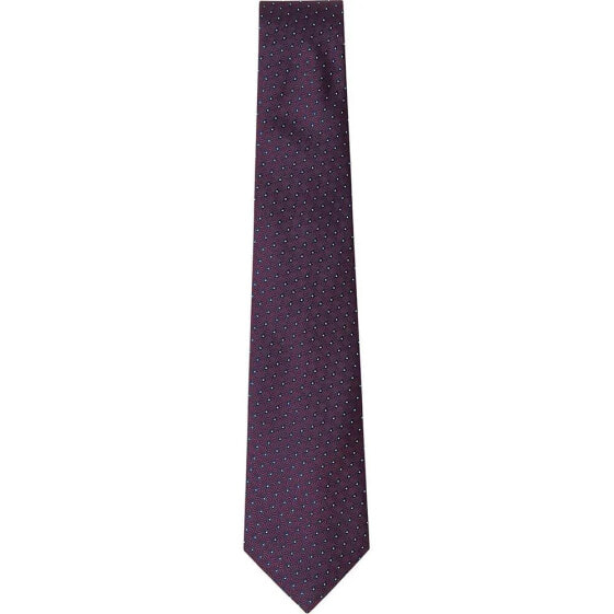 HACKETT Art Deco Fan tie