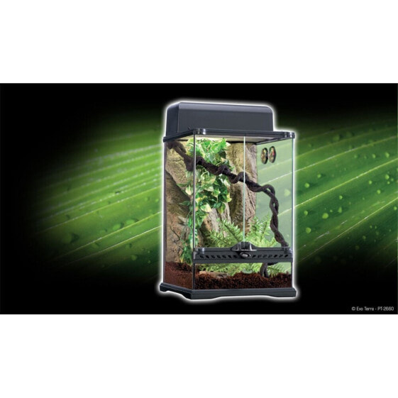 EXO TERRA Tropical Terrarium small habitat kit