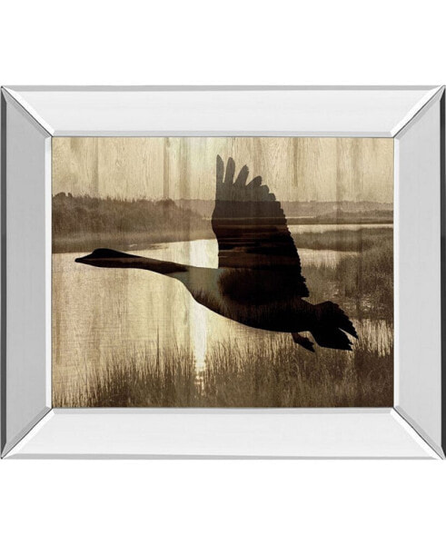 Journey by Tania Bello Mirror Framed Goose Photo Print Wall Art - 22" x 26"