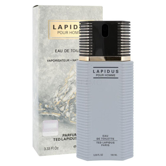 Ted Lapidus Lapidus Pour Homme 100 ml eau de toilette für Herren