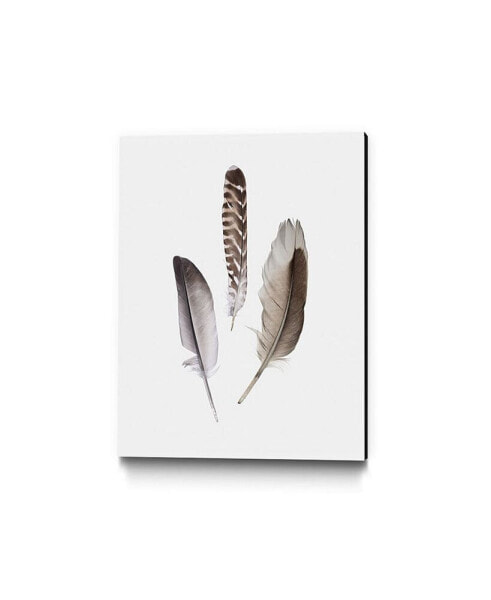 14" x 11" Feathers III Museum Mounted Canvas Print