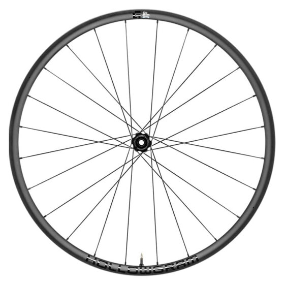 CANNONDALE G-SL 25 Ai 6B Disc 650 gravel rear wheel