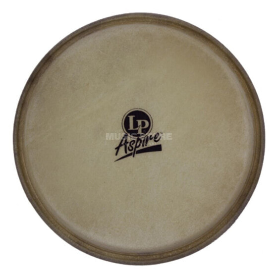 Latin Percussion Conga Head M265C, 12,5", f. Matador