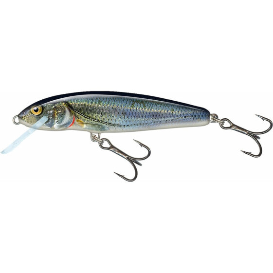 SALMO Floating Minnow 50 mm