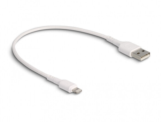 Delock 87866 - 0.3 m - Lightning - USB A - Male - Male - White