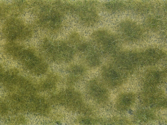 NOCH Groundcover Foliage - green/beige - Beige - Green