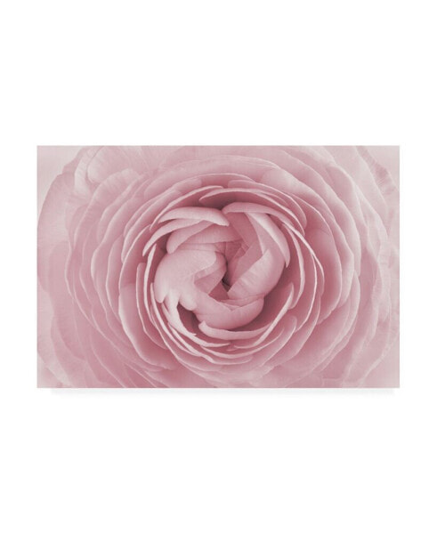 PhotoINC Studio Large Pink Rose Canvas Art - 36.5" x 48"