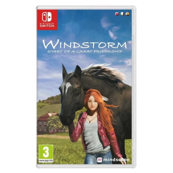 NINTENDO GAMES Switch Windstorm Start of a Great Friendship