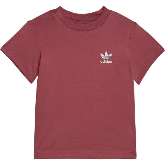 ADIDAS ORIGINALS Adicolor short sleeve T-shirt