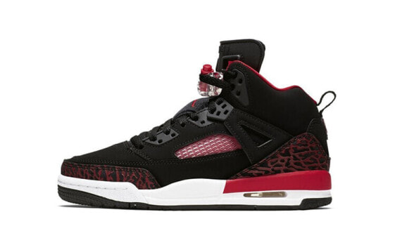 Кроссовки Jordan Spizike GS 317321-060