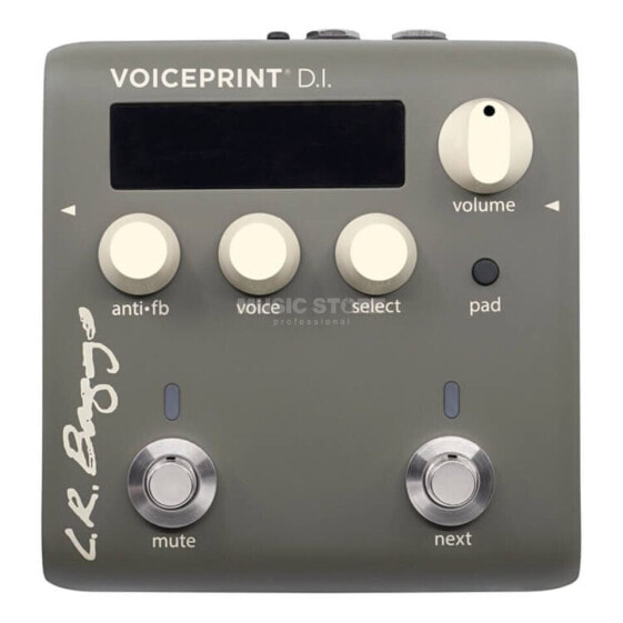 L.R.Baggs Voiceprint DI