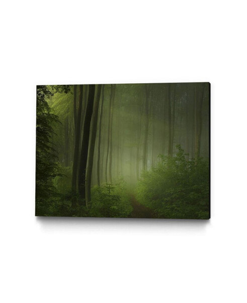 32" x 24" Maier - Forest Morning Museum Mounted Canvas Print