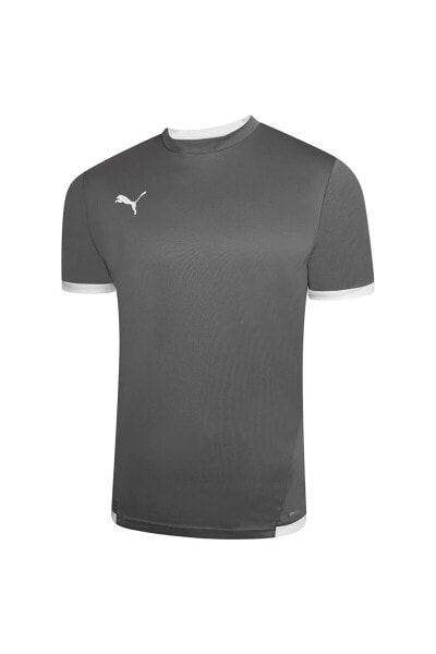 Футболка PUMA 704917 Teamliga Jersey Dry-Cell мужская