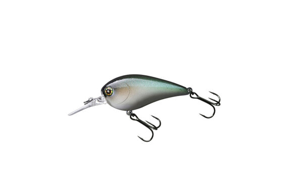 Jackall MC 60 SR Crankbaits (JMC60SR-DTH) Fishing