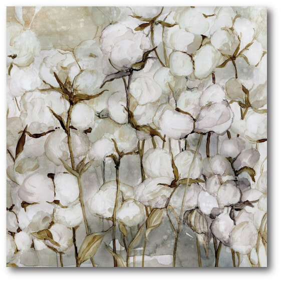 Cotton Field Gallery-Wrapped Canvas Wall Art - 16" x 16"